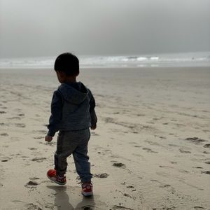 Meet your Posher, Ivy